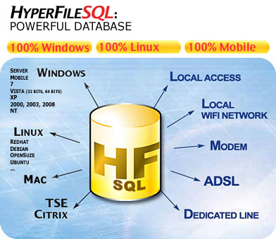 HyperFileSQL is very powerful, very fast and very reliable